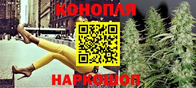 сатива Северобайкальск